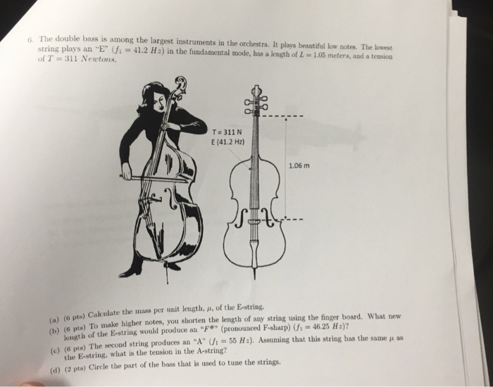 Solved The double bass is among the largest instruments in