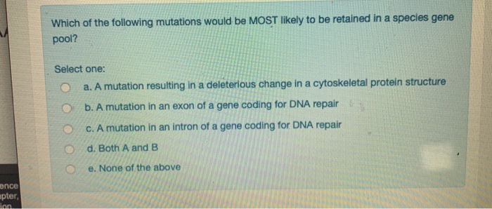 Solved Which of the following mutations would be MOST likely | Chegg.com