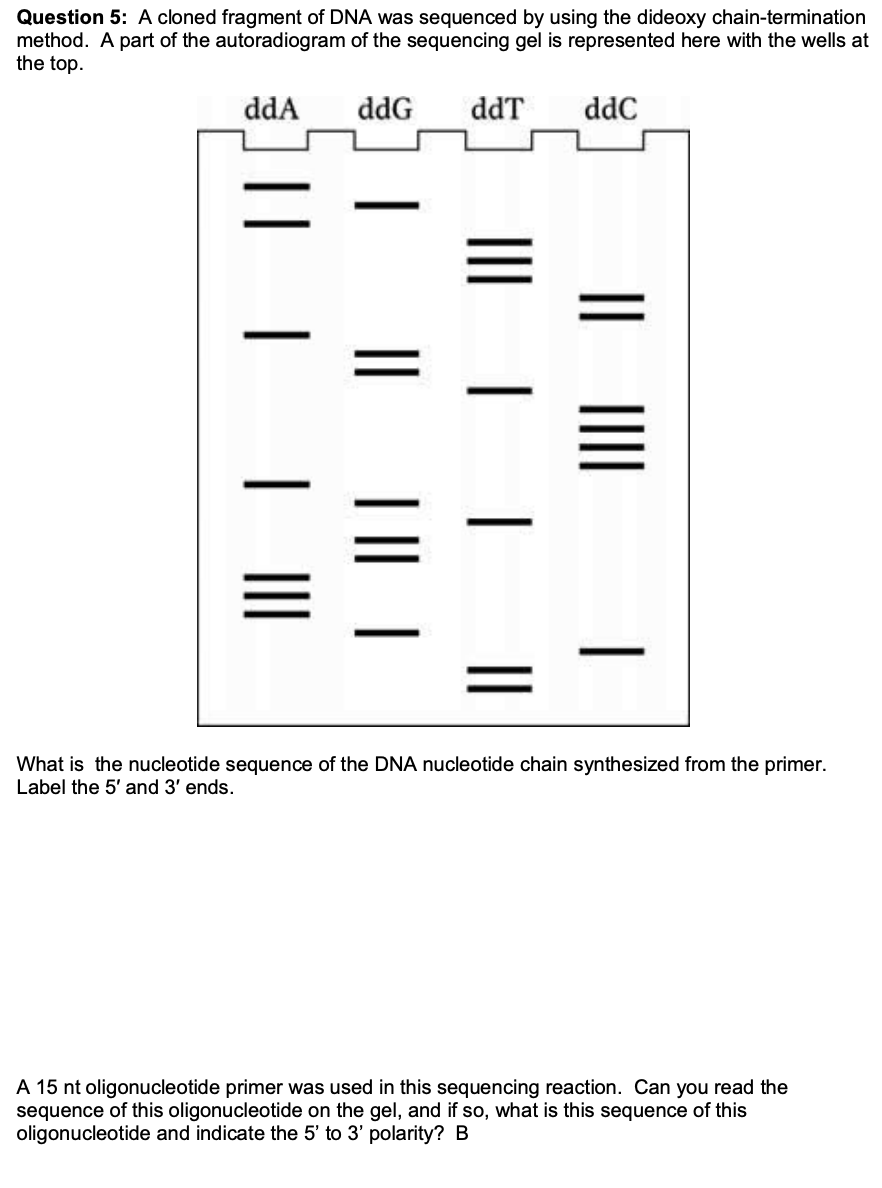 Solved Question 5: A cloned fragment of DNA was sequenced by | Chegg.com