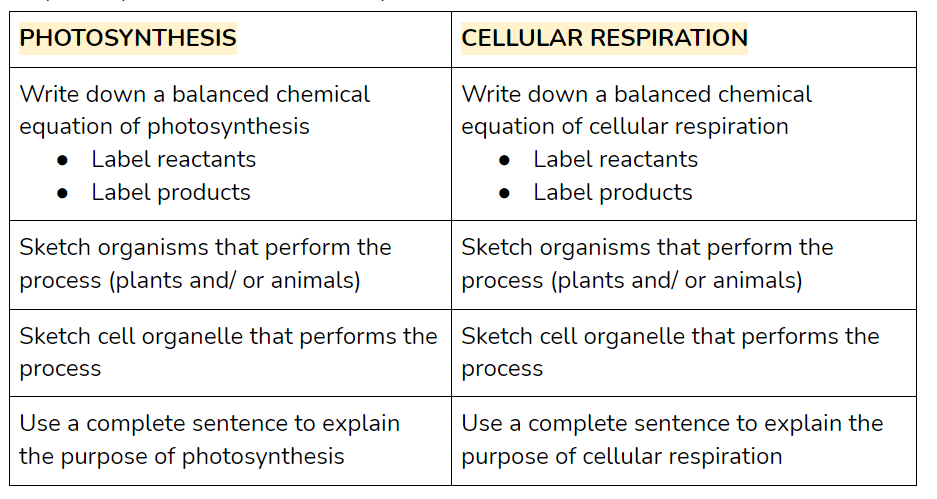 Solved Photosynthesis And Cellular Respiration Please Ans Chegg Com