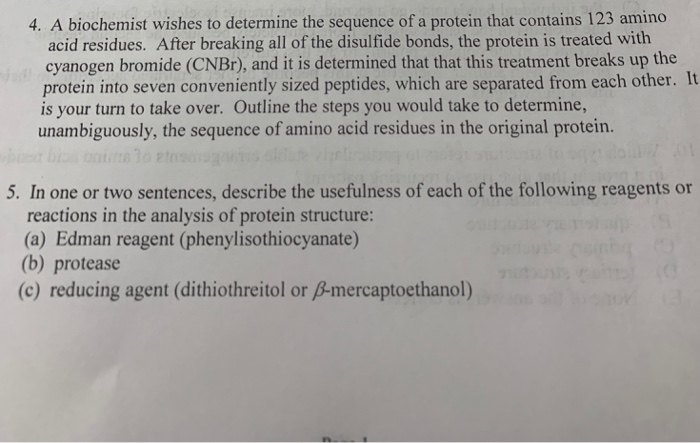 Solved The Structure Of A Protein Consists Of The Sequence Chegg Com