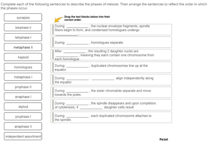 Solved: Complete Each Of The Following Sentences To Descri&hellip; | Chegg.com