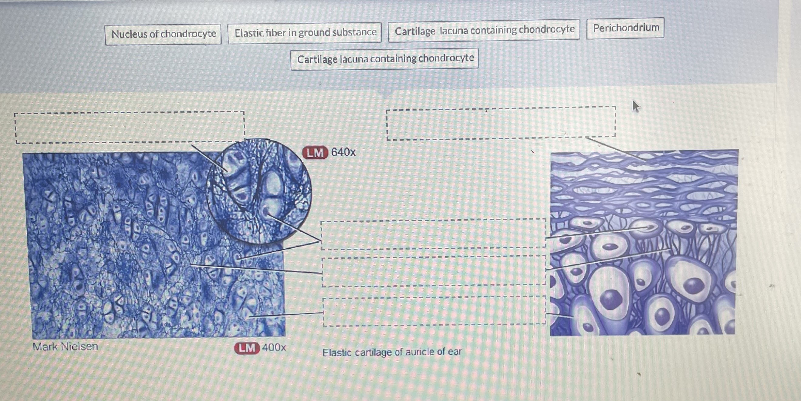 Solved Question | Chegg.com