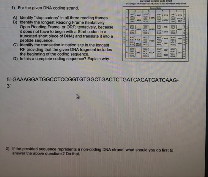 Solved For the given DNA coding strand, A) Identify 