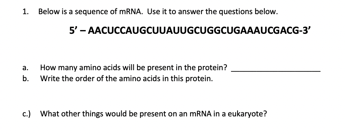 Solved 1. Below is a sequence of mRNA. Use it to answer the | Chegg.com