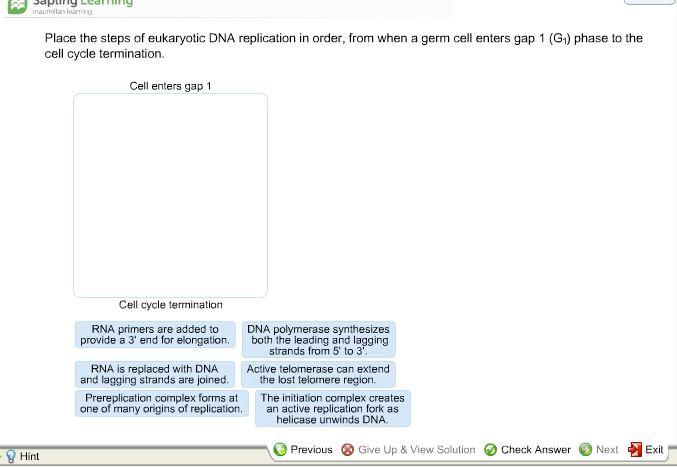 Solved Tracmanoma Place the steps of eukaryotic DNA | Chegg.com