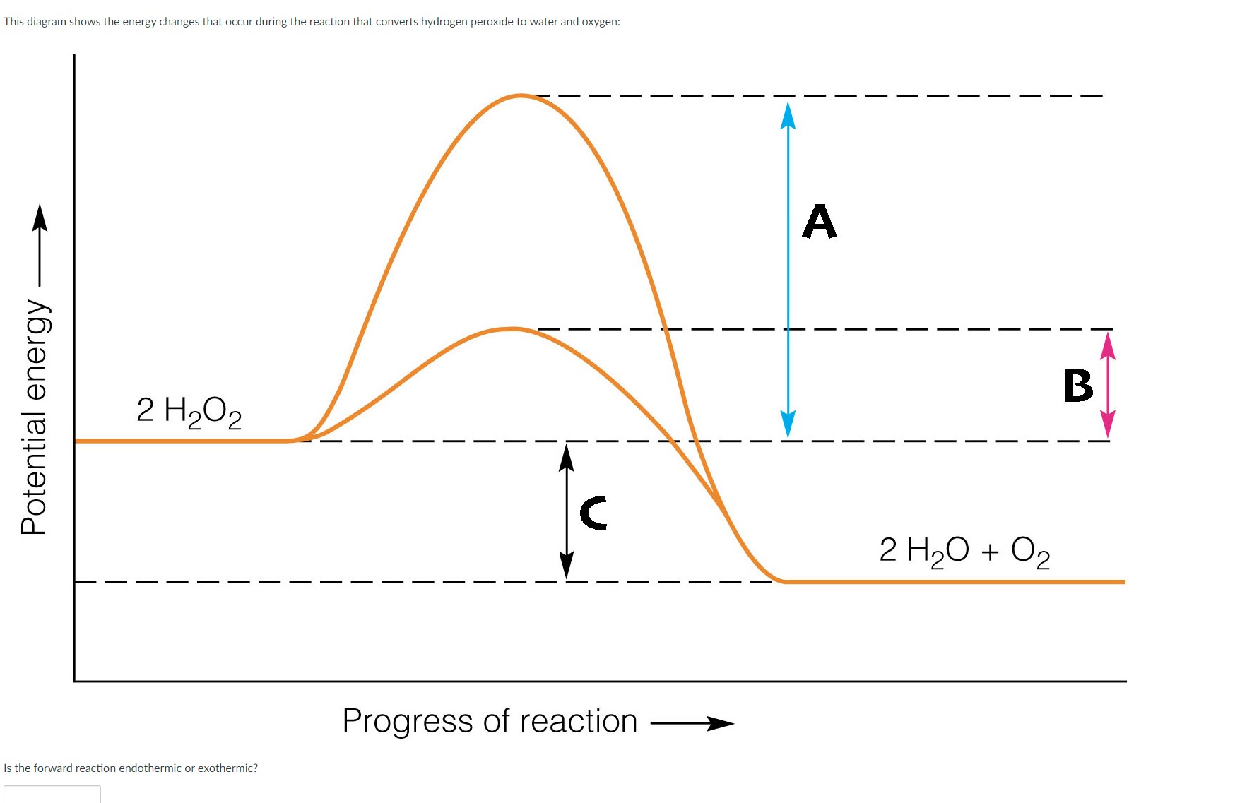 This diagram shows the energy changes that occur | Chegg.com