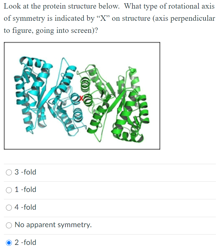 Solved Look at the protein structure below. What type of | Chegg.com