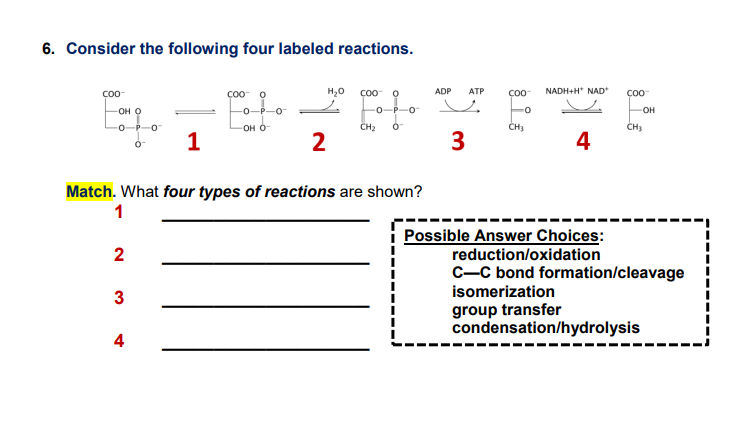 Solved Consider the following four labeled reactions.Match. | Chegg.com