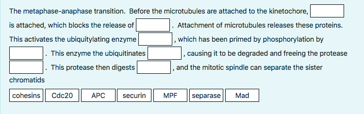 Solved Cell division can be initiated when a clump together | Chegg.com