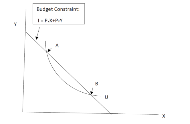 Solved 1. Consider the following budget constraint for goods | Chegg.com