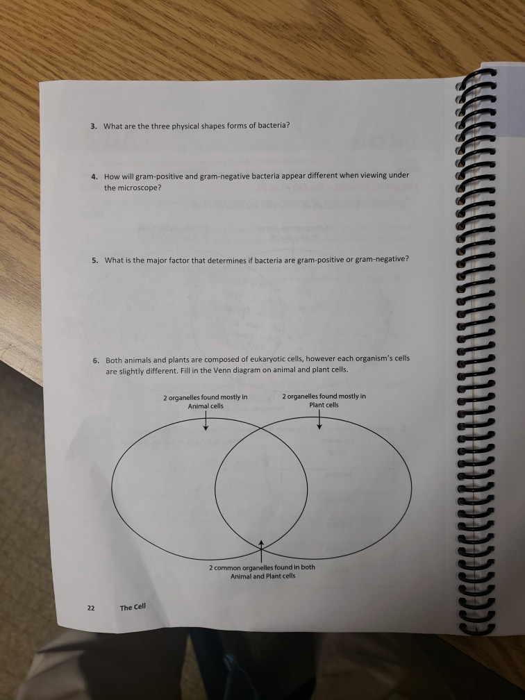 solved-3-what-are-the-three-physical-shapes-forms-of-chegg