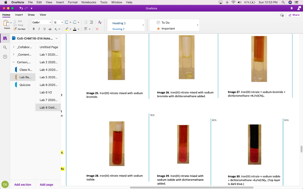 OneNote File Edit View Insert Format Notebooks Tools | Chegg.com