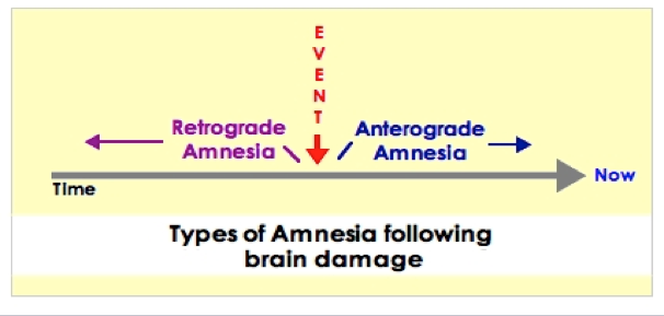 source amnesia psychology