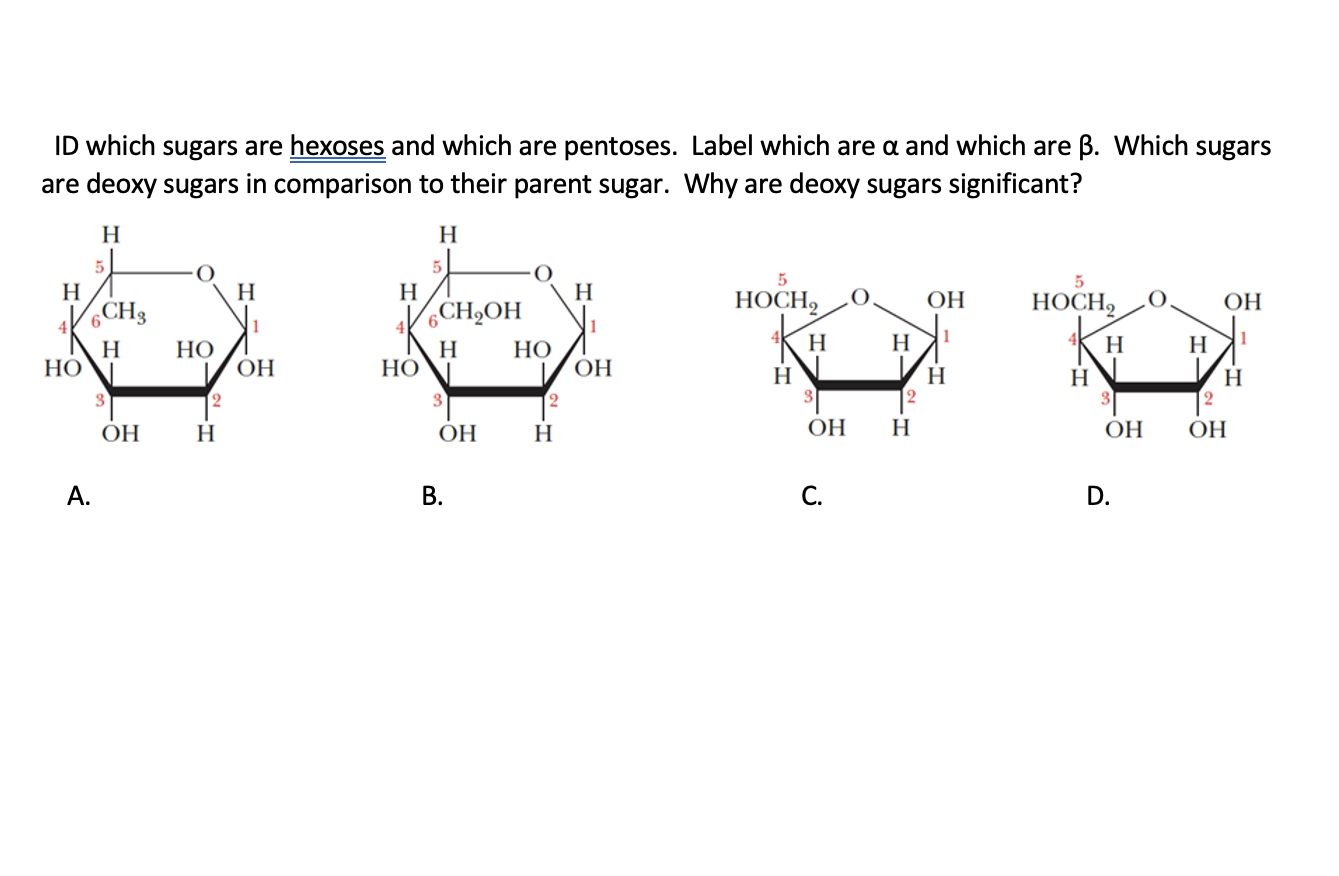 Solved ID Which Sugars Are Hexoses And Which Are Pentoses. | Chegg.com