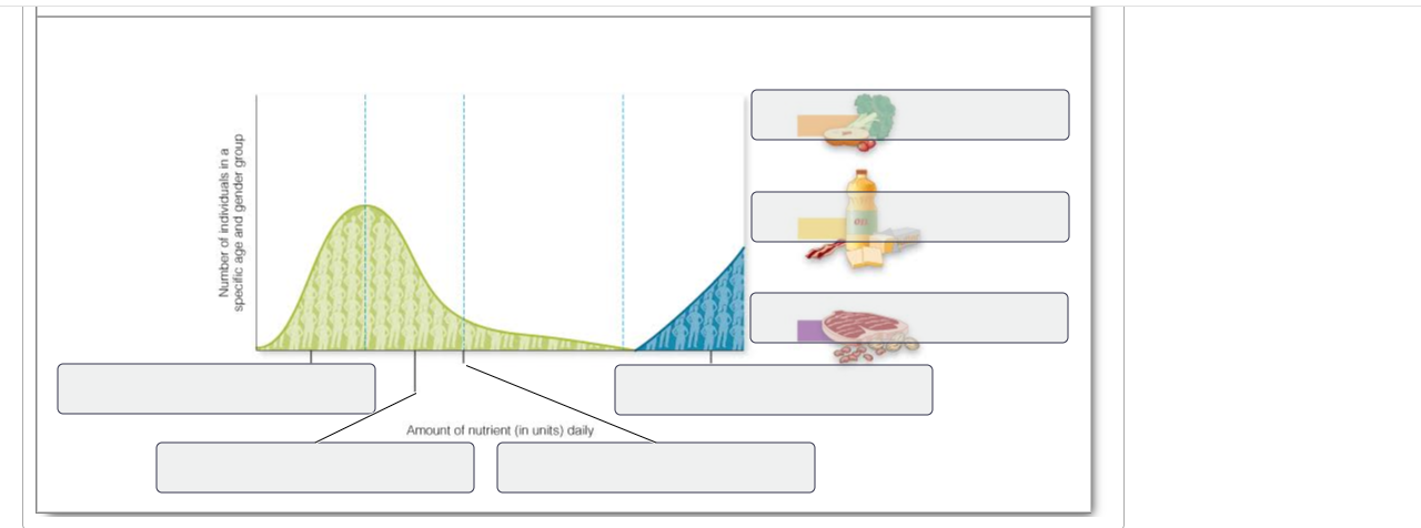 Solved It S Important To Understand The Appropriate Amoun Chegg Com