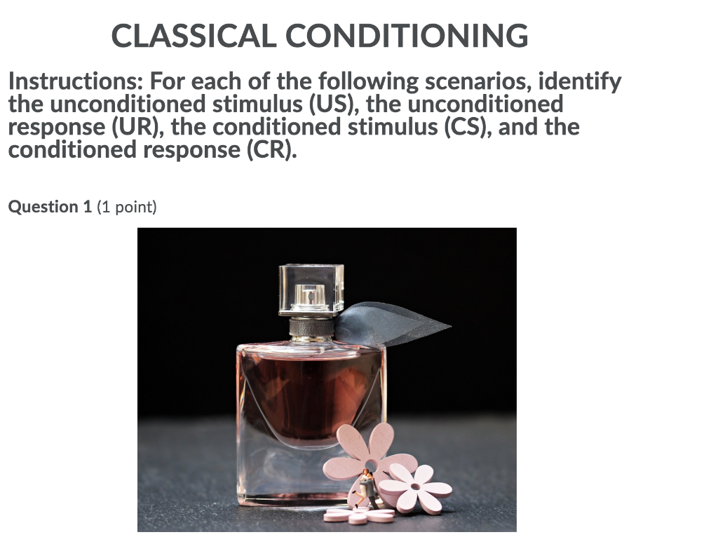 Solved Classical Conditioning Instructions For Each Of The Chegg Solved Classical Conditioning Instructions For Each Of The Chegg