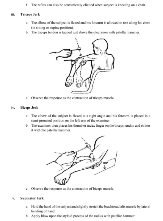 where to check deep tendon reflexes