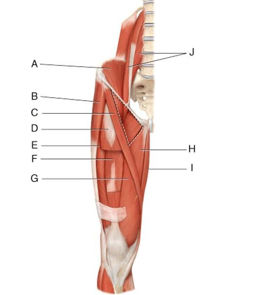 Solved Use the following diagram to answer the question