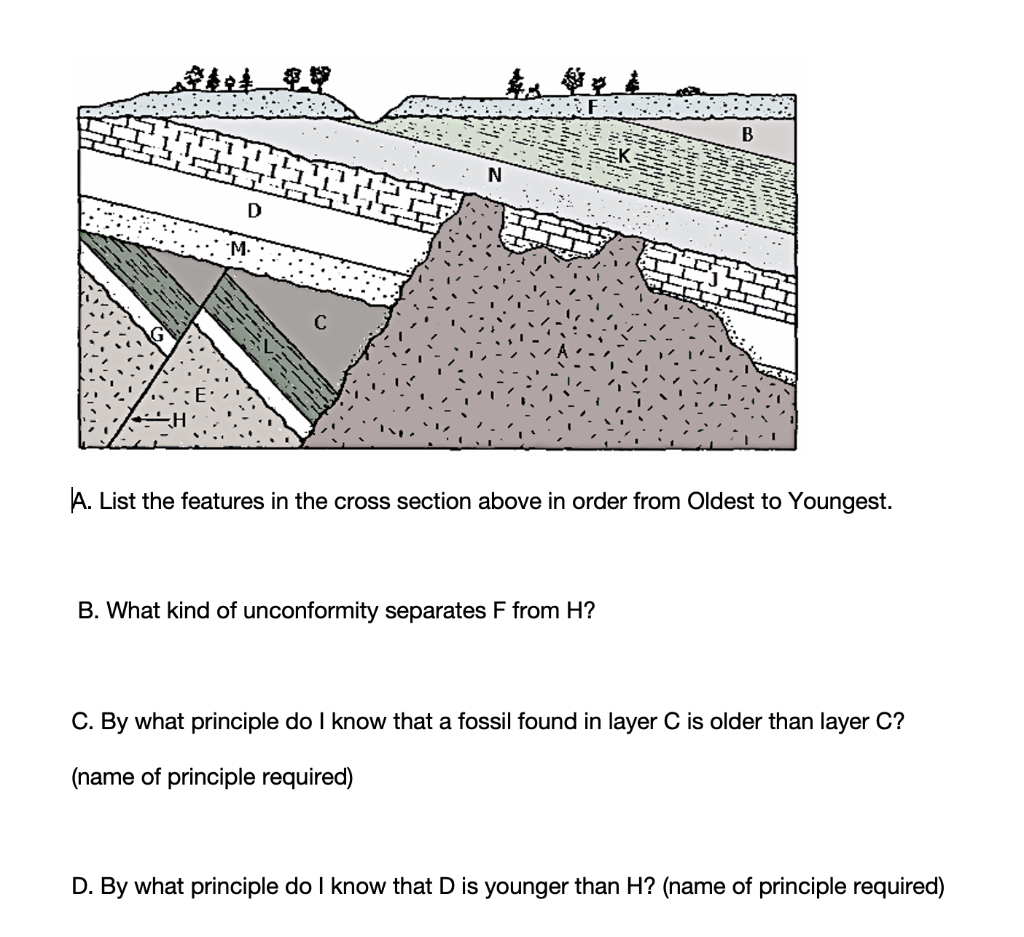 Solved B N WWWW D A. List The Features In The Cross Section | Chegg.com