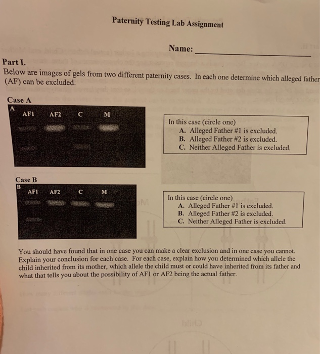 Solved Paternity Testing Lab Assignment Name: Part I (AF) | Chegg.com