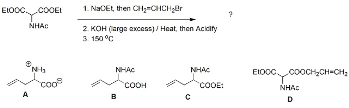 Solved EtOOC. A COOEt NHAC NH3 Coo 1. NaOEt, then | Chegg.com