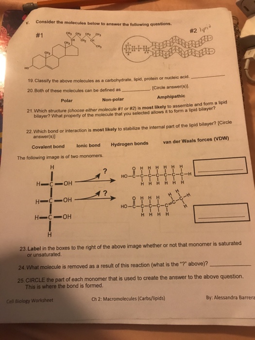  Bond Polarity Worksheet With Answers Free Download Gmbar co