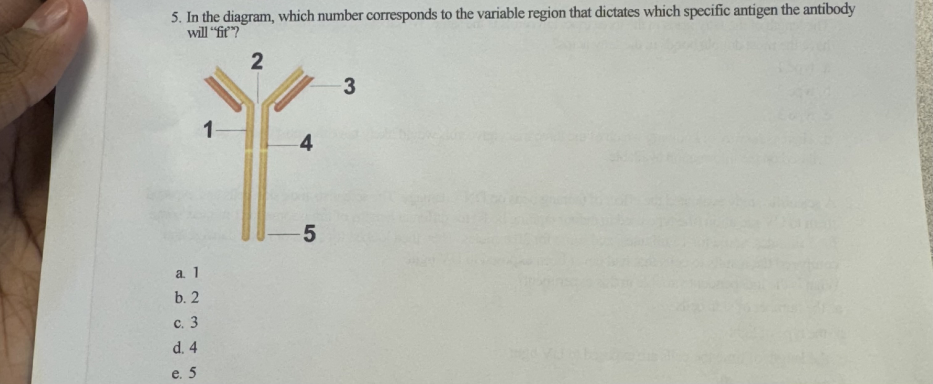 Solved In the diagram, which number corresponds to the | Chegg.com