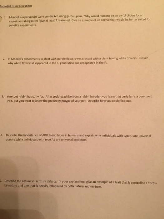 🌈 Describe a garden essay. Descriptive essay of a garden Free Essays