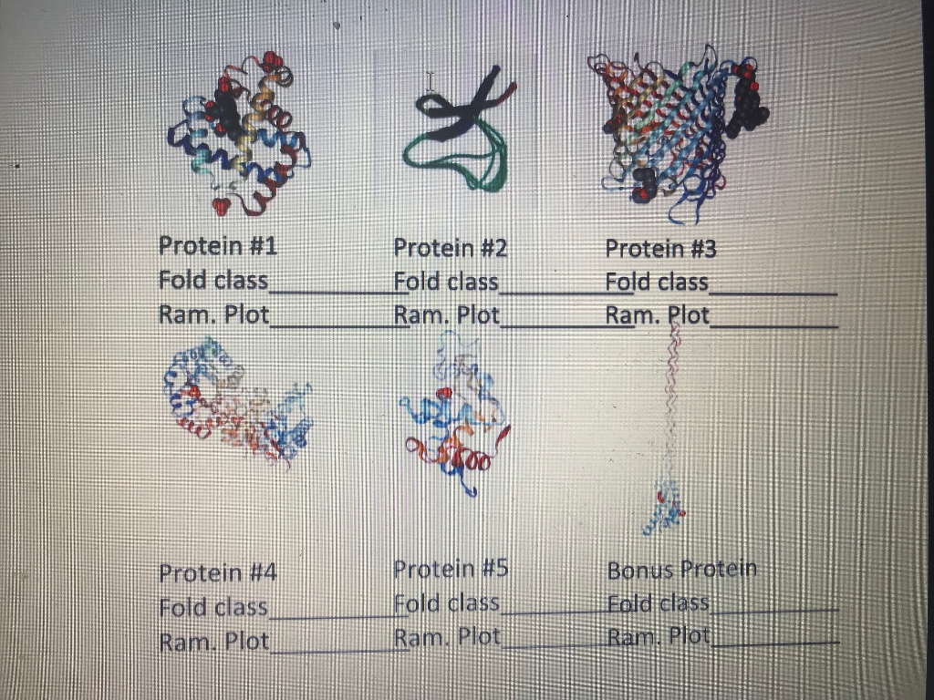 Protein #1 Fold class Ram. Plot Protein #2 Fold class | Chegg.com