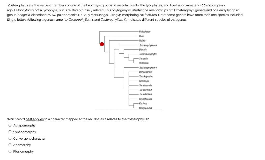 Solved Zosterophylls are the earliest members of one of the | Chegg.com