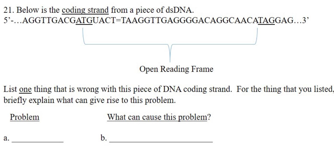 Solved 21. Below is the coding strand from a piece of dsDNA. | Chegg.com