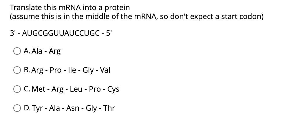 Solved Translate this mRNA into a protein (assume this is in | Chegg.com