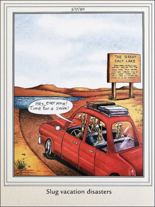 Solved Write a paragraph describing why this image shows a | Chegg.com