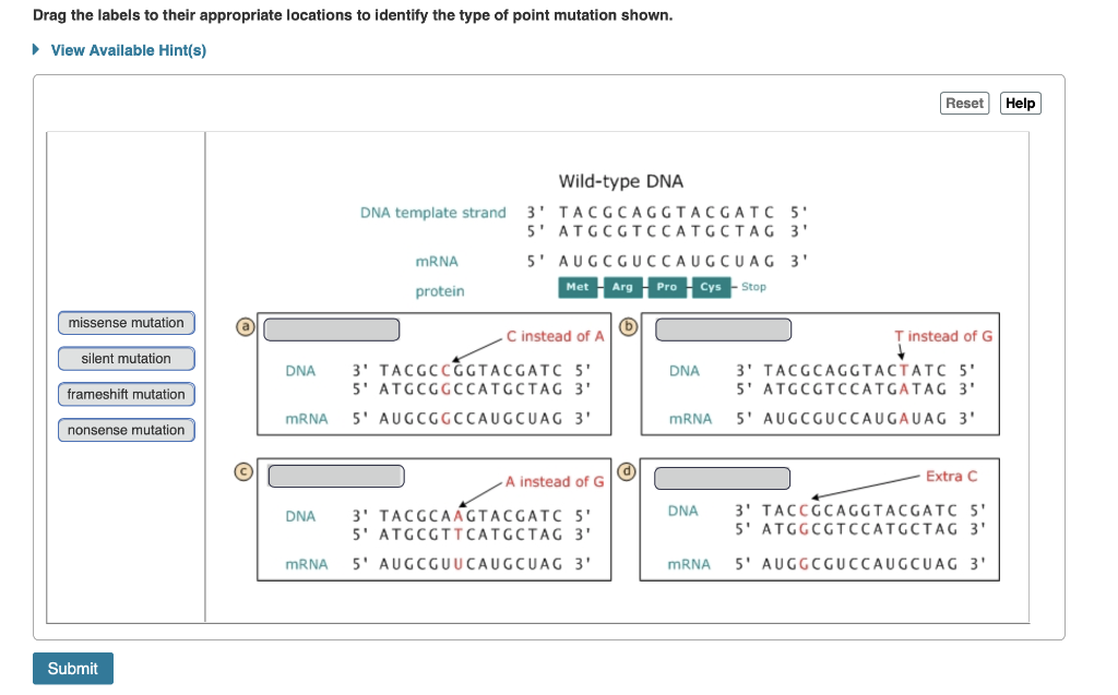 solved-when-a-base-substitution-mutation-occurs-one-chegg