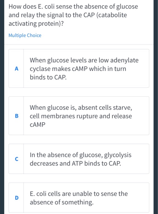 Solved How does E. coli sense the absence of glucose and | Chegg.com