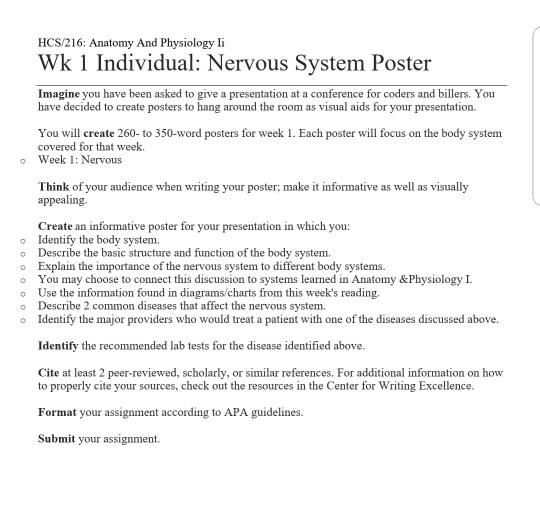 Individual homework anatomy picture