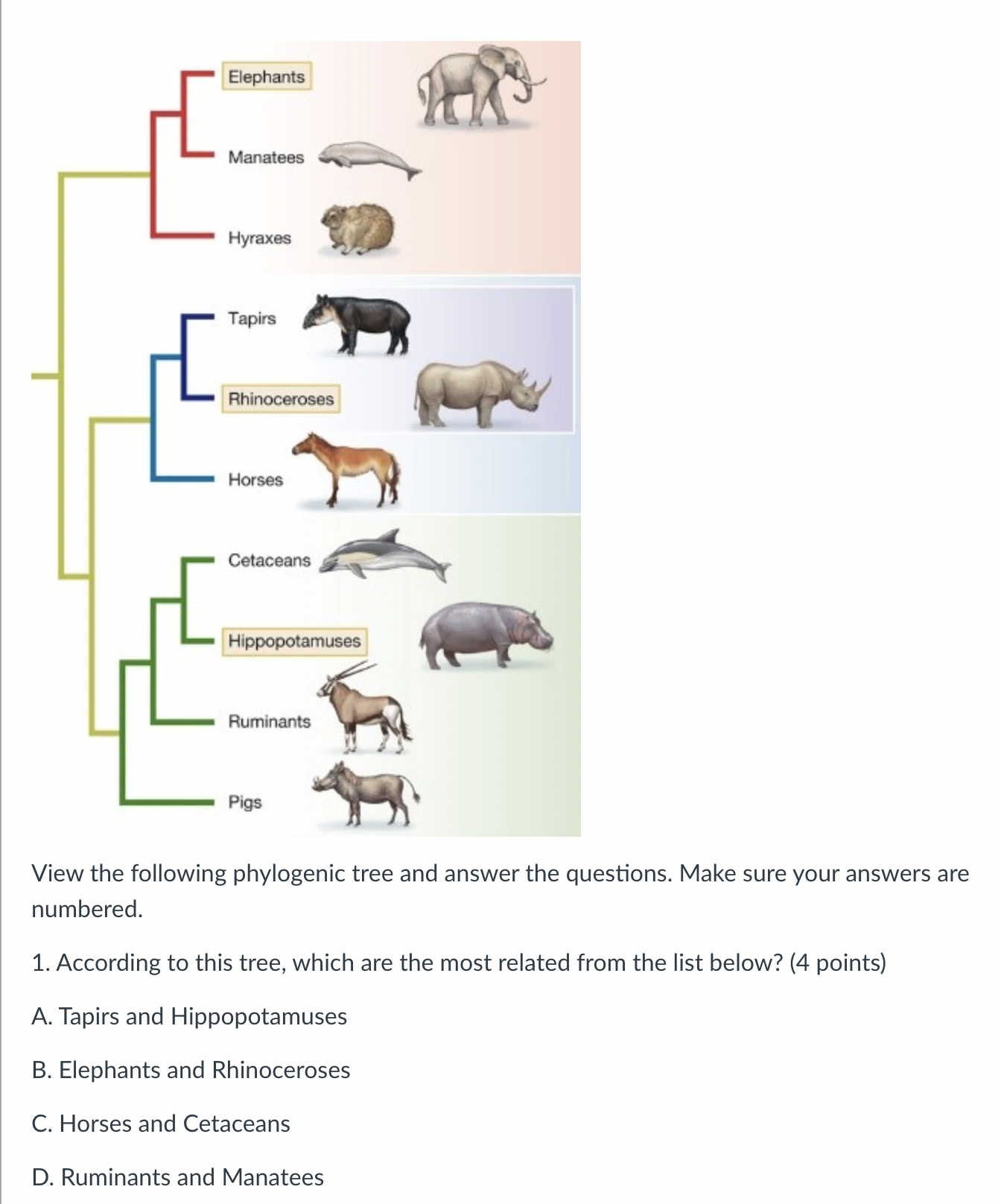 Solved View The Following Phylogenic Tree And Answer The 