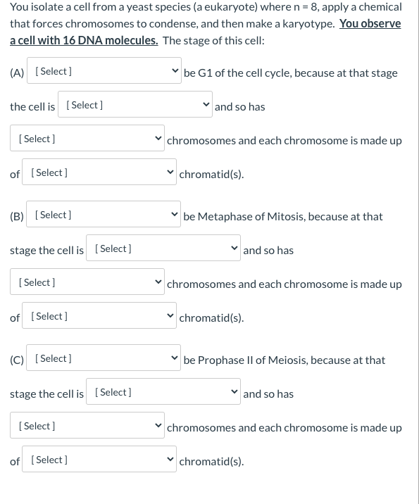 Solved 1A/B/C: Could Or Could Not 2A/B/C: Diploid Or | Chegg.com