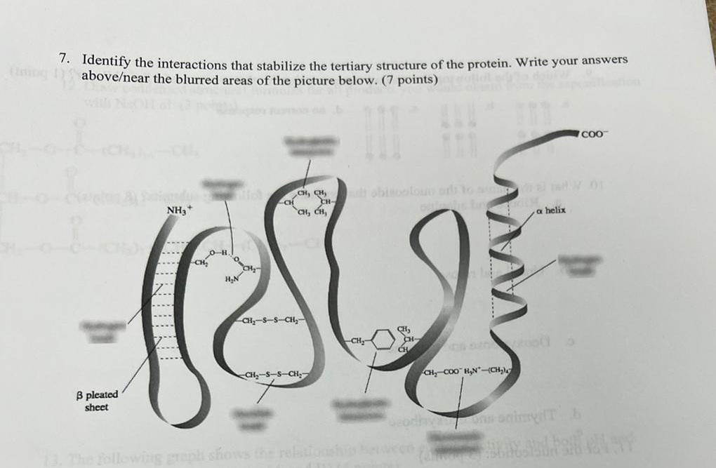 Solved 7. Identify The Interactions That Stabilize The | Chegg.com