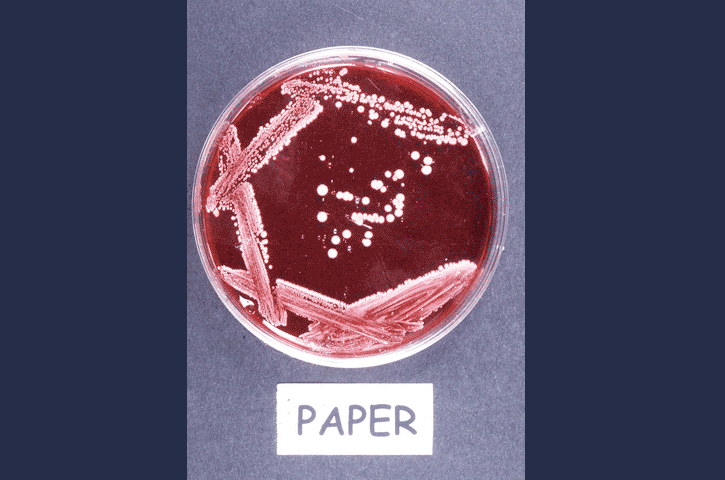 Solved Directions: There are two parts for this lab. The | Chegg.com