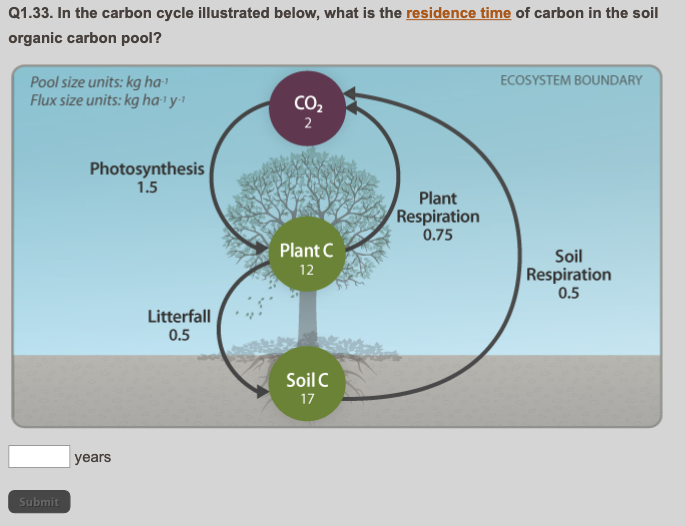 Q1.29. Which biomolecules always require nitrogen?