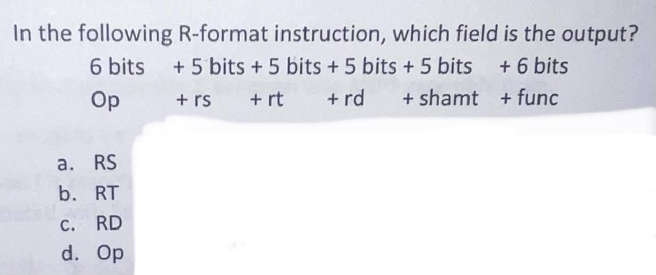 R Format Instruction