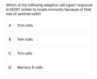 Solved What is CD4 help in the context of CD8 T cell memory? | Chegg.com