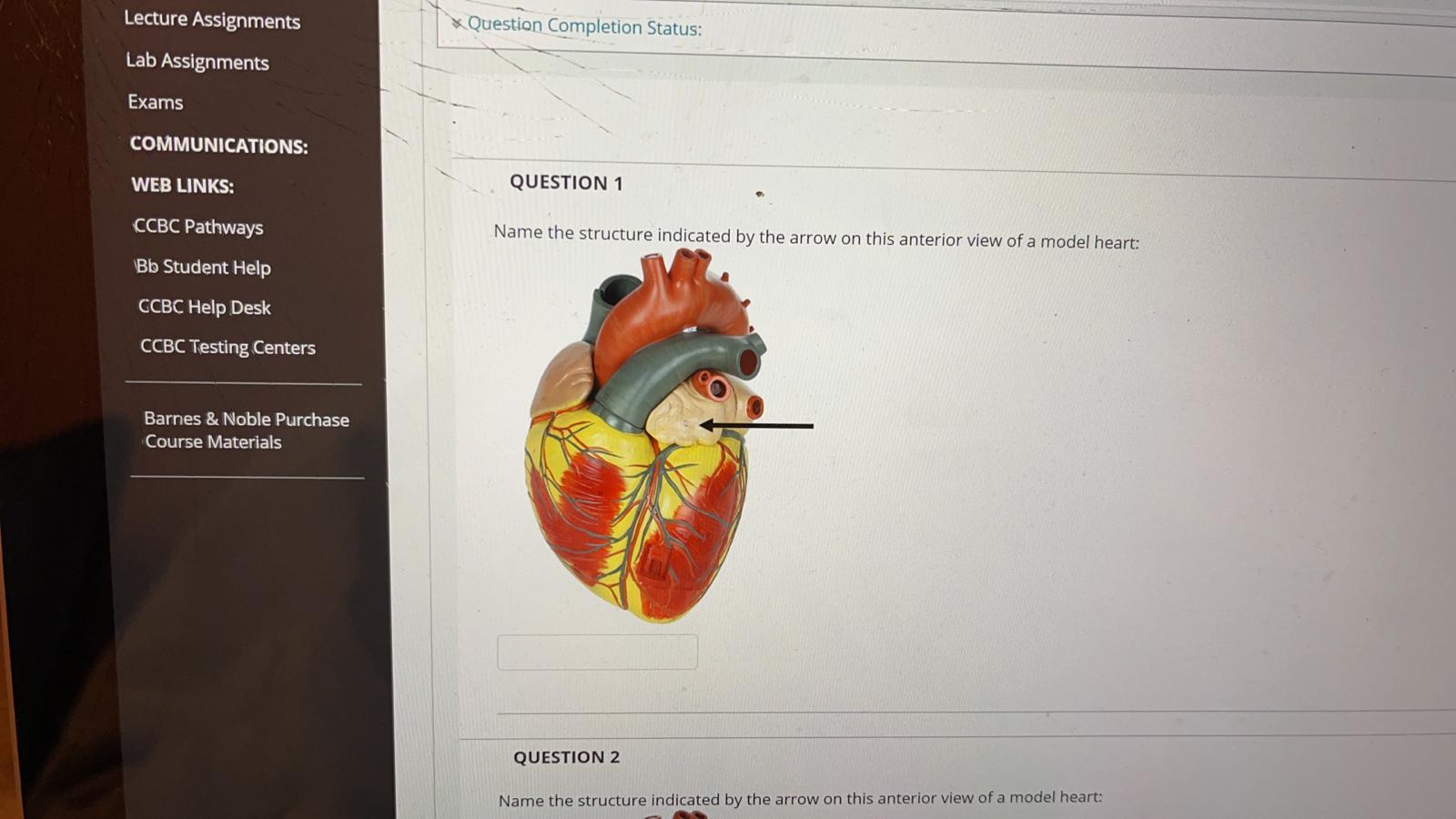 Diagram illustrating the action of the heart and diaphragms.