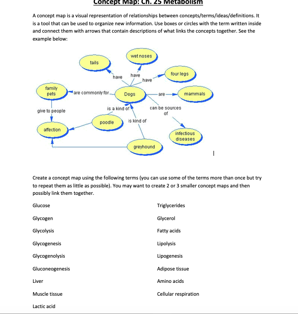 Solved Concept Map Ch 25 Metabolism A Concept Map Is A
