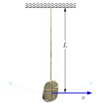 Solved A rock with mass M swings on the end of string of | Chegg.com
