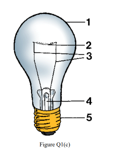 Q1(c) a light bulb. Identify all five | Chegg.com
