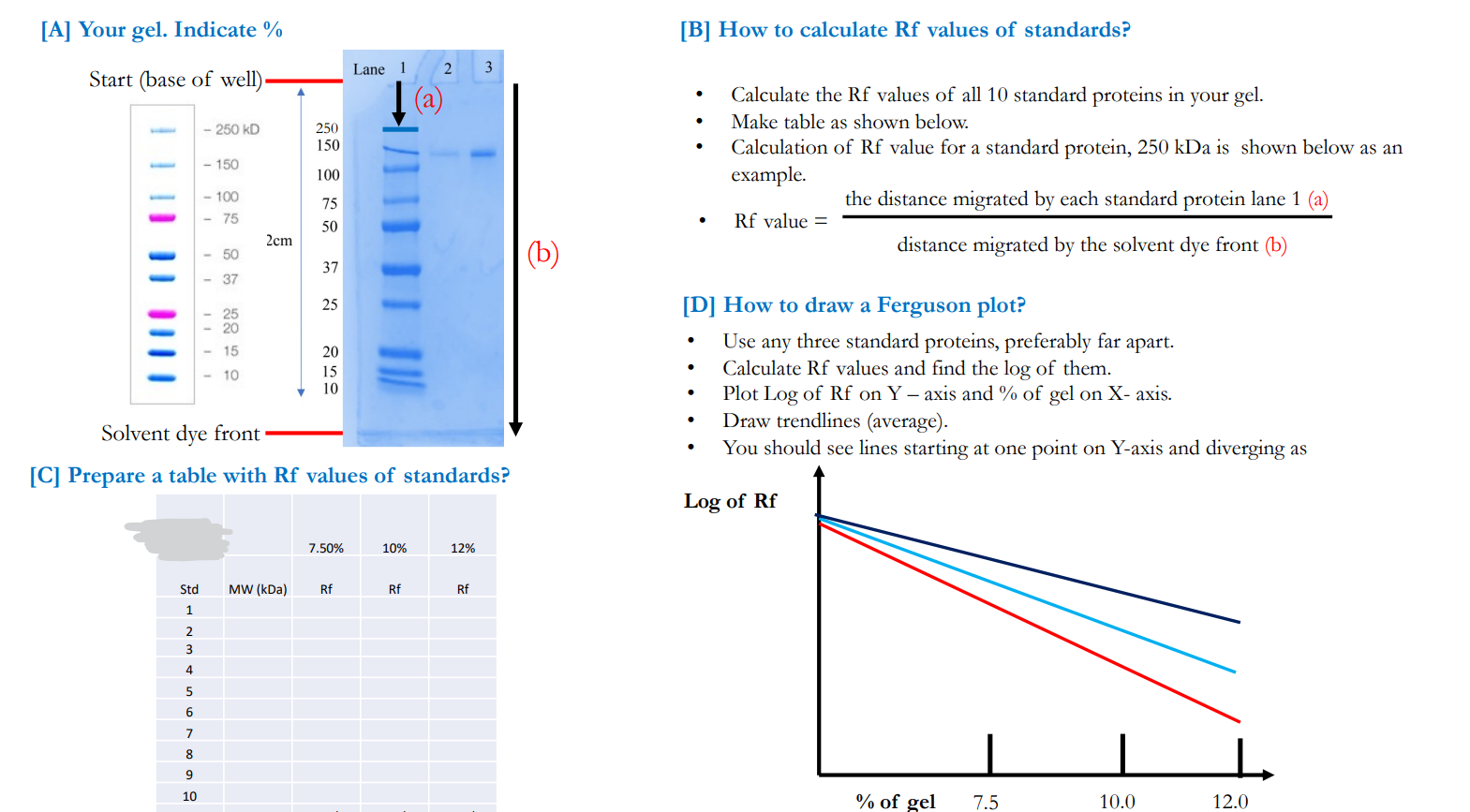 [A] Your orel. Indicate \( \% \)
[B] How to calculate \( \mathrm{Rf} \) values of standards?
- Calculate the Rf values of all