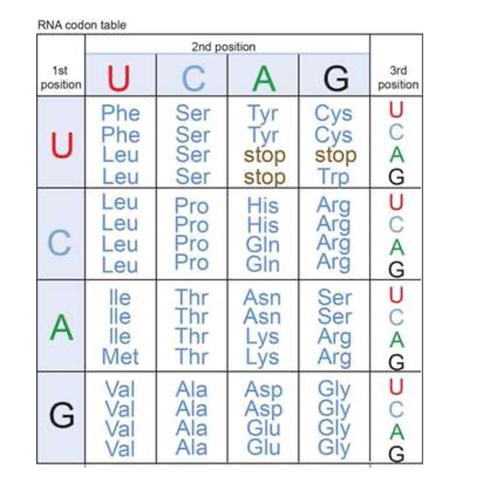 Solved Question | Chegg.com